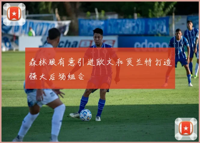 森林狼有意引进欧文和莫兰特打造强大后场组合